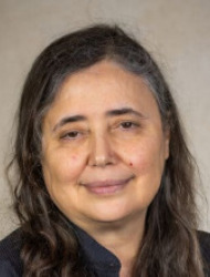 Haviva Pedaya
